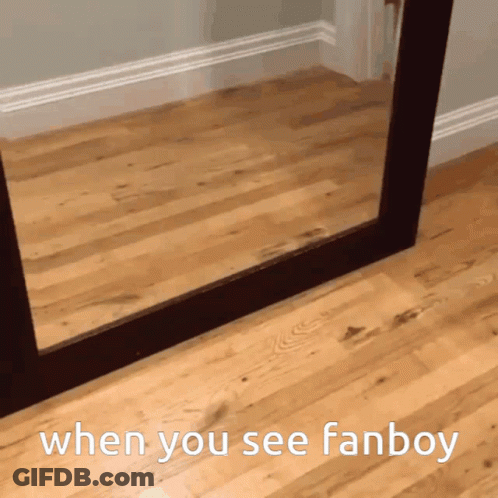 A Picture Of A Mirror With The Words When You See Fanboy GIF