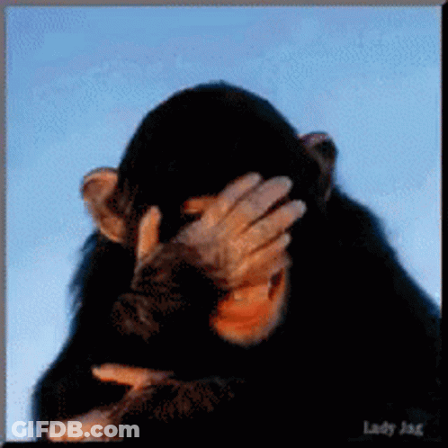 A Picture Of A Monkey Covering Its Face With Its Hand GIF