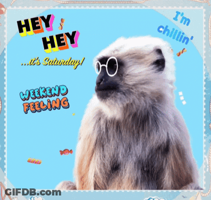 A Picture Of A Monkey Wearing Sunglasses Says Hey Hey It 'S Saturday GIF