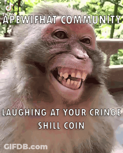 A Picture Of A Monkey With A Caption That Says " Apewihat Community Laughing At Your Cringe Still Coin " GIF