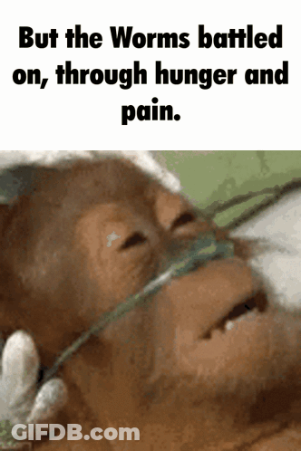 A Picture Of A Monkey With A Caption That Says " But The Worms Battled On Through Hunger And Pain . " GIF