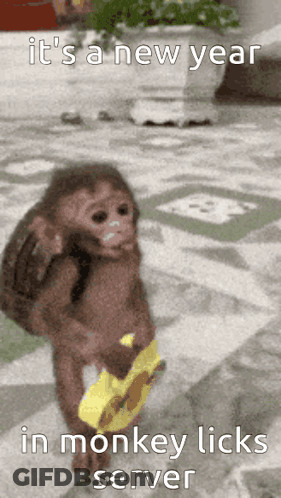 A Picture Of A Monkey With The Caption It 'S A New Year GIF
