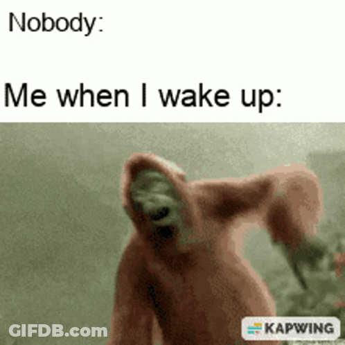 A Picture Of A Monkey With The Caption Nobody Me When I Wake Up . GIF