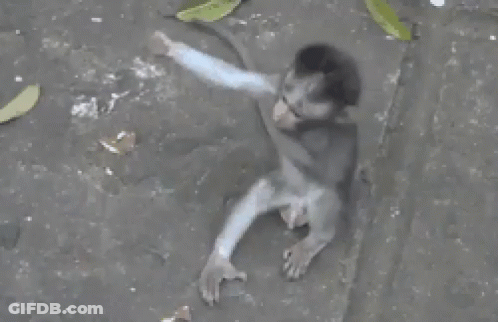 A Picture Of A Monkey With The Words " Eh Toloooonngg " Written Below It GIF