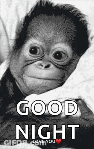 A Picture Of A Monkey With The Words Good Night Love You GIF