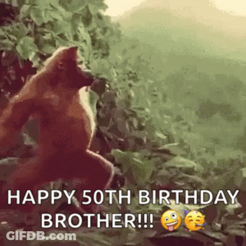 A Picture Of A Monkey With The Words Happy 50Th Birthday Brother !! GIF