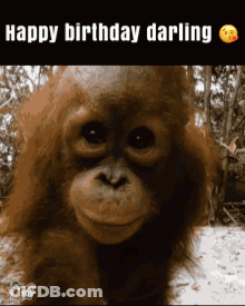 A Picture Of A Monkey With The Words Happy Birthday Darling On The Bottom GIF