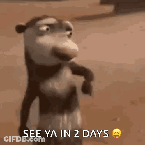 A Picture Of A Monkey With The Words See Ya In 2 Days GIF