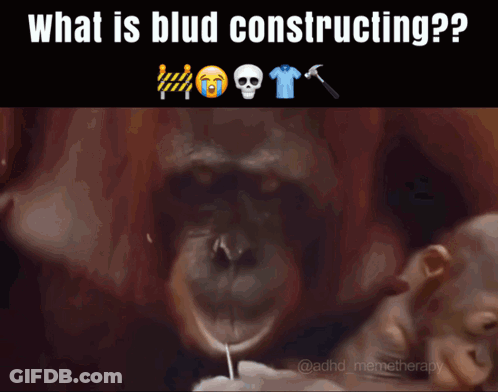 A Picture Of A Monkey With The Words What Is Blud Constructing On It GIF