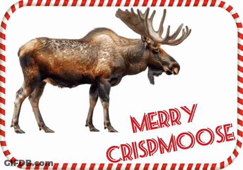 A Picture Of A Moose With Merry Crispmoose Written On It GIF