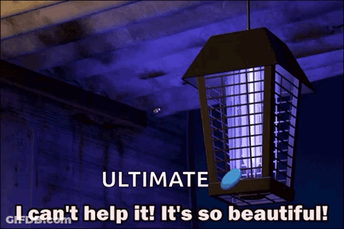 A Picture Of A Mosquito Killer With The Caption Ultimate I Can T Help It It 'S So Beautiful GIF