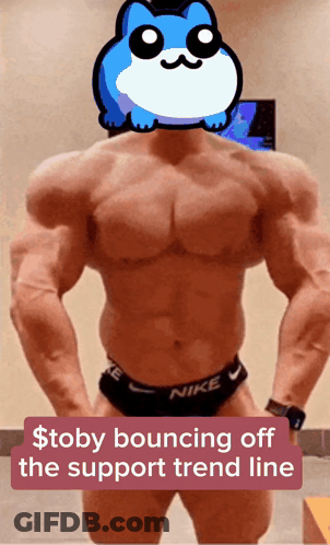 A Picture Of A Muscular Man With A Blue Cat On His Head And The Words $ Toby Bouncing Off The Support Trend Line GIF