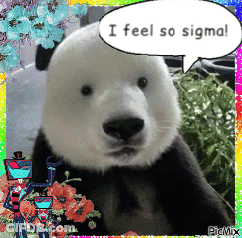 Panda Bear Saying I Feel So Sigma GIF