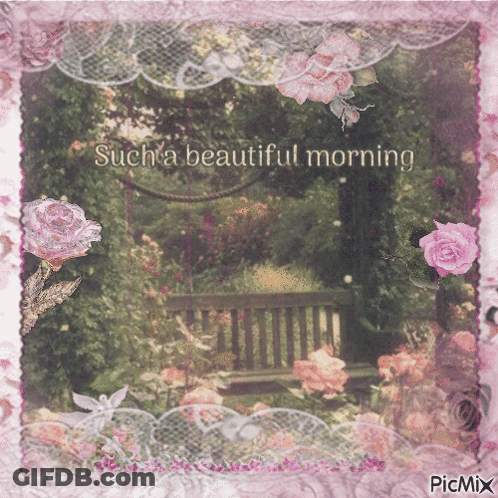 A Picture Of A Park Bench With The Words Such A Beautiful Morning GIF