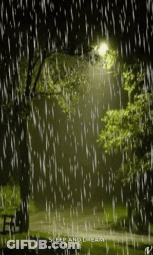 A Picture Of A Park In The Rain With The Words Sleep And Dream On The Bottom GIF