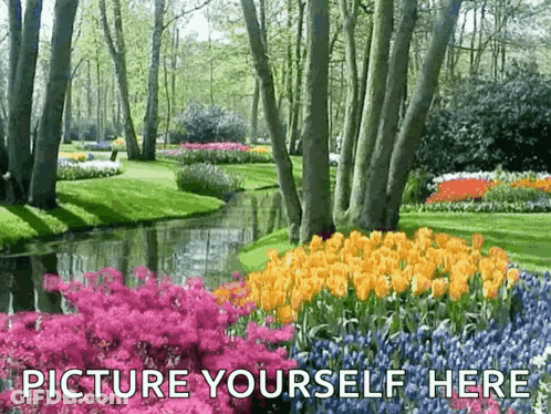 A Picture Of A Park With Flowers And Trees With The Words Picture Yourself Here GIF