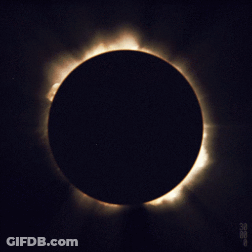 A Picture Of A Partial Eclipse Of The Sun Taken On August 30Th GIF
