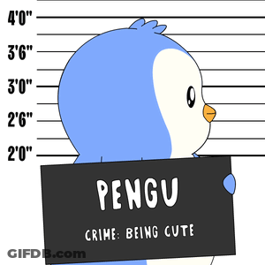 A Picture Of A Penguin Holding A Sign That Says Pengu GIF