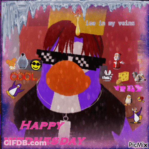 A Picture Of A Penguin Wearing Sunglasses And The Words Happy Wednesday On The Bottom GIF