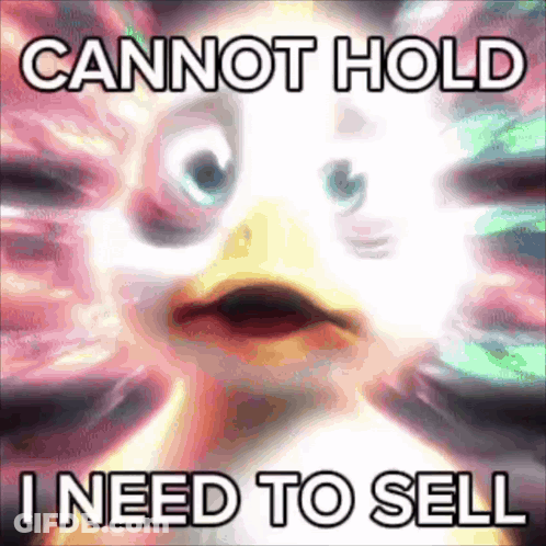 A Picture Of A Penguin With A Caption That Says `` Cannot Hold I Need To Sell '' GIF