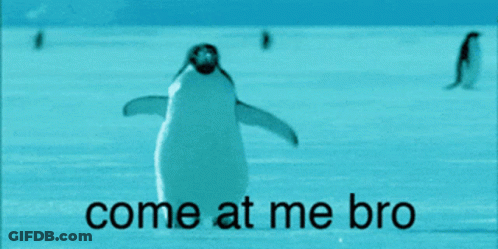 A Picture Of A Penguin With The Words Come At Me Bro GIF