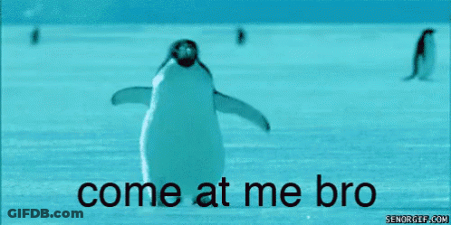 A Picture Of A Penguin With The Words Come At Me Bro On It GIF