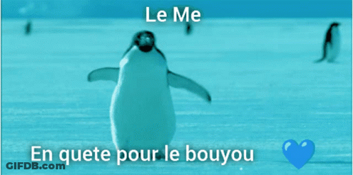 A Picture Of A Penguin With The Words Le Me En Quete Pour Le Boyou Under It GIF