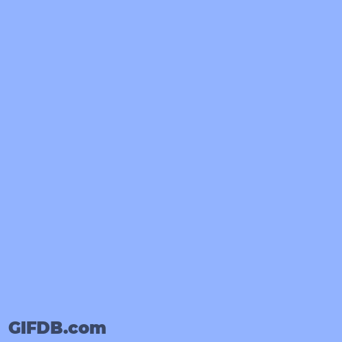 A Picture Of A Penguin With The Words Peekaboo Written Above It GIF