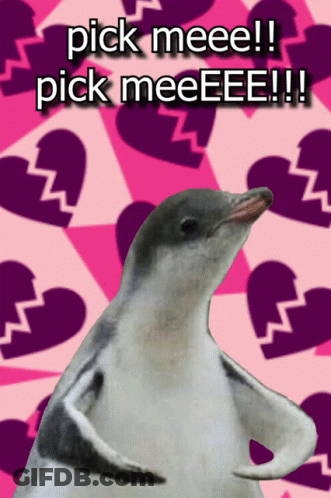 A Picture Of A Penguin With The Words Pick Meee And Pick Meeee On It GIF