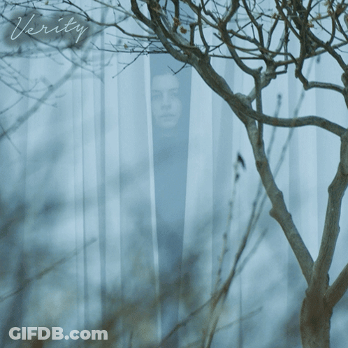 A Picture Of A Person Behind A Fence Has The Word Verity Written On It GIF