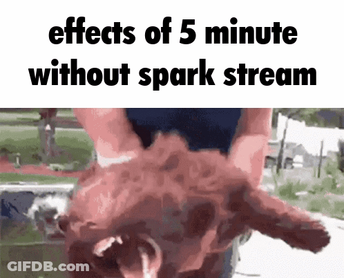 A Picture Of A Person Holding A Dog With The Words Effects Of 5 Minute Without Spark Stream GIF