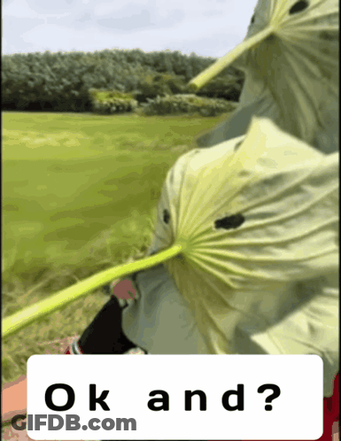 A Picture Of A Person Holding A Green Leaf And The Words Ok And GIF
