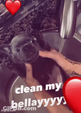 A Picture Of A Person Holding A Puppy With The Words Clean My Bellayyy GIF