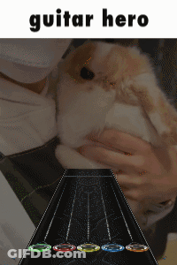 A Picture Of A Person Holding A Rabbit Next To A Guitar With The Word Guitar Hero On It GIF