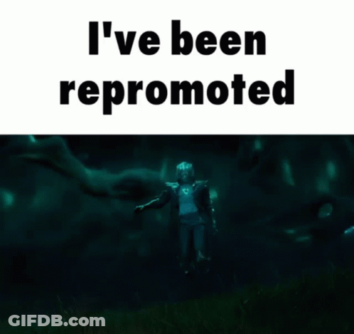 A Picture Of A Person Holding A Sword With The Words I 'Ve Been Repromoted Below It GIF