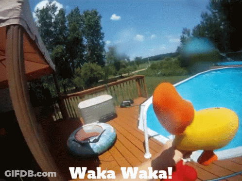 A Picture Of A Person In A Pool With Waka Waka Written On It GIF