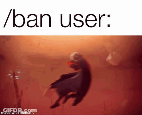 A Picture Of A Person In The Water With The Words / Ban User Below It GIF