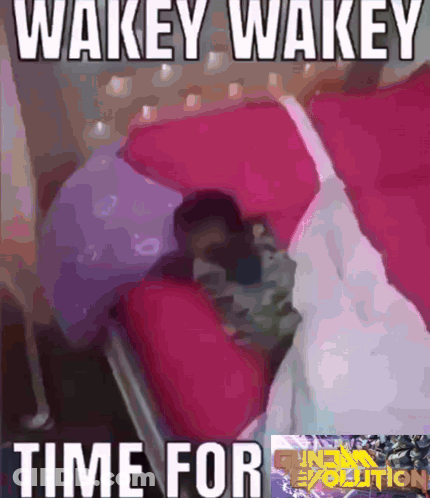 A Picture Of A Person Laying In A Bed With The Words Wakey Wakey Time For Guns Evolution GIF