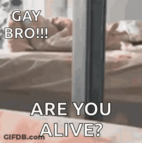 A Picture Of A Person Laying On A Bed With The Words `` Gay Bro !! Are You Alive ? '' GIF
