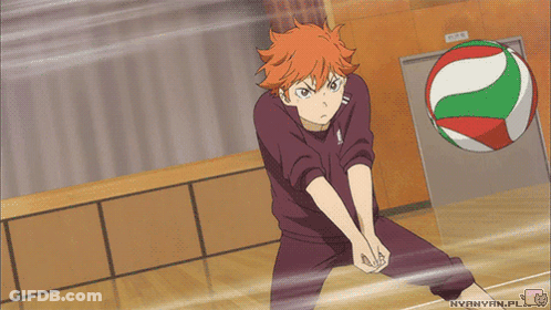 A Picture Of A Person Playing Volleyball With Nyannyam.pl In The Bottom Right Corner GIF
