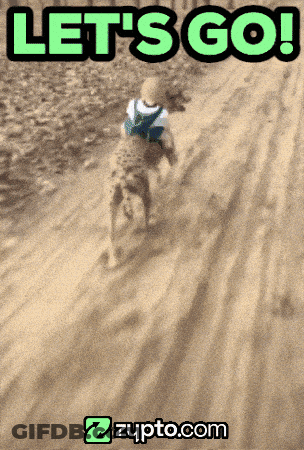 A Picture Of A Person Riding A Cheetah And The Words Let 'S Go GIF