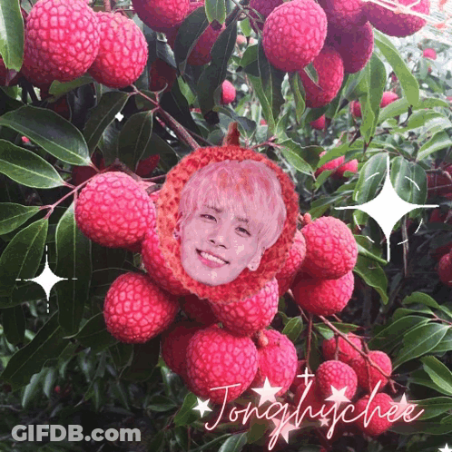 A Picture Of A Person 'S Face In A Bunch Of Lychees With The Name Tonghuchee GIF