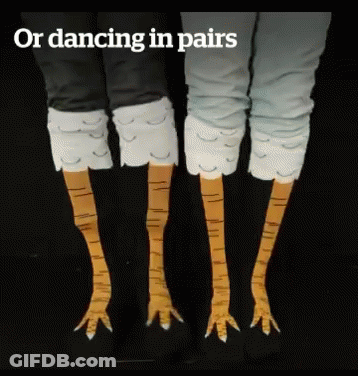 A Picture Of A Person 'S Legs With The Words " Or Dancing In Pairs " GIF