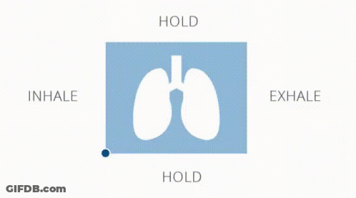 A Picture Of A Person 'S Lungs With The Words Inhale And Exhale GIF
