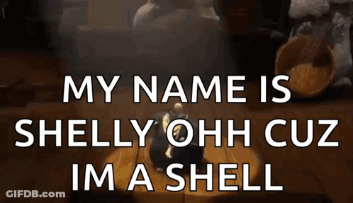 A Picture Of A Person Sitting On A Table With The Words My Name Is Shelly Ohh Cuz Im A Shell GIF