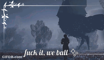 A Picture Of A Person Standing In A Field With The Words " Fuck It We Ball " GIF