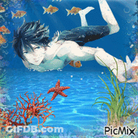 A Picture Of A Person Swimming In The Ocean With A Starfish And Coral GIF