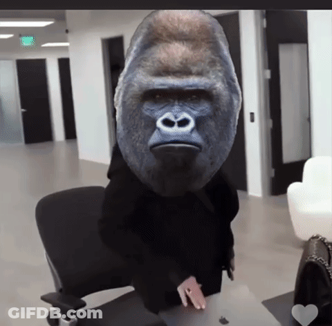 A Picture Of A Person With A Gorilla Head GIF