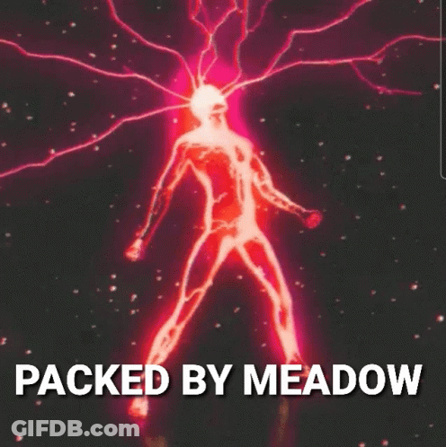 A Picture Of A Person With The Words Packed By Meadow GIF