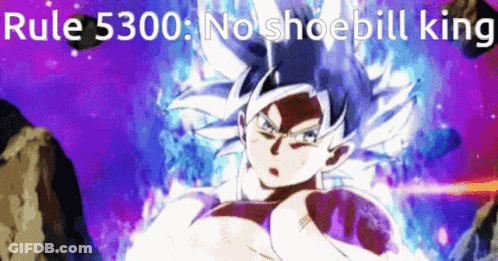 A Picture Of A Person With The Words Rule 5300 No Shoepill King Above Them GIF